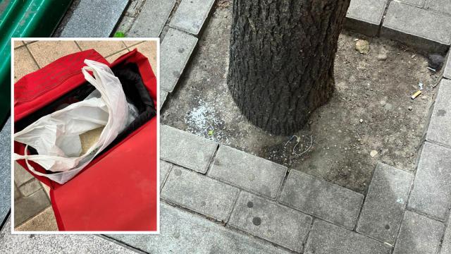 Imagen de la bolsa con arroz que transportaba y uno de los árboles a los que acababa de lanzar el alimento.