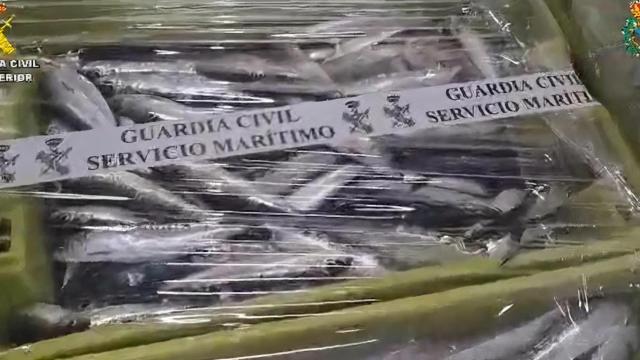 Sardina incautada en Muros (A Coruña).