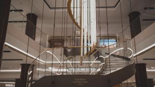 Imagen del interior de Galerías Canalejas.