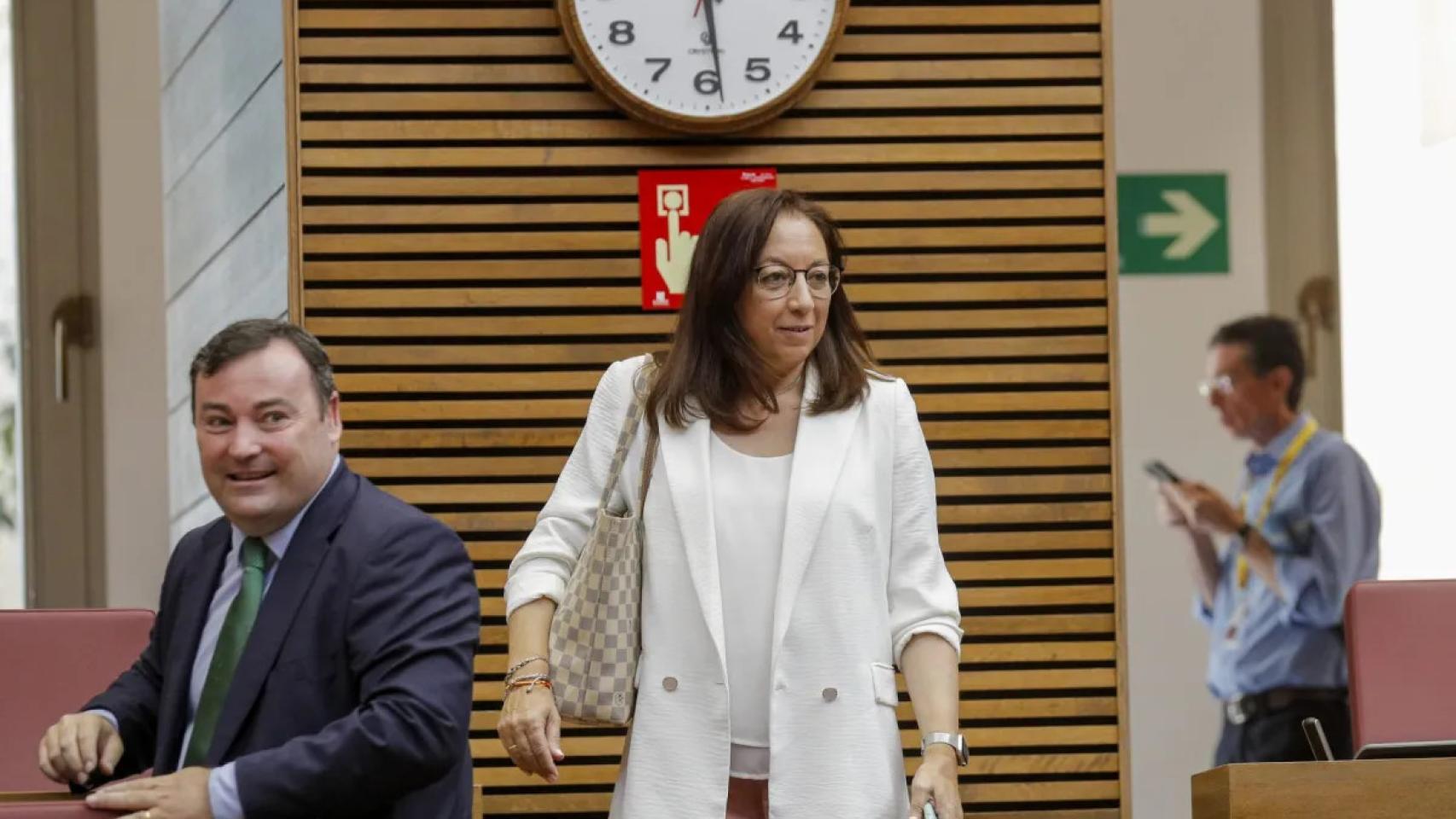 Llanos Massó llega este lunes a las Cortes Valencianas para ser nombrada presidenta.