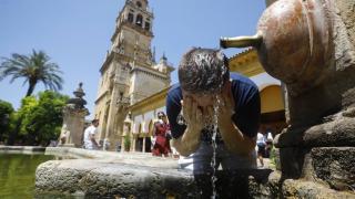 Un turista se refresca en una de las fuentes del patio de los naranjos de la Mezquita de Córdoba.