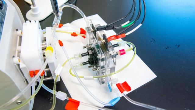 El dispositivo creado por los investigadores para desalinizar el agua