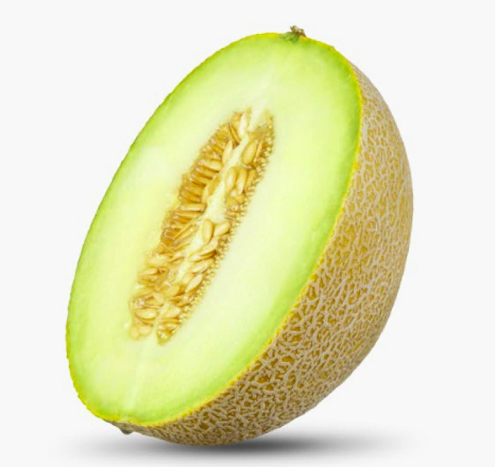 Melón Galia