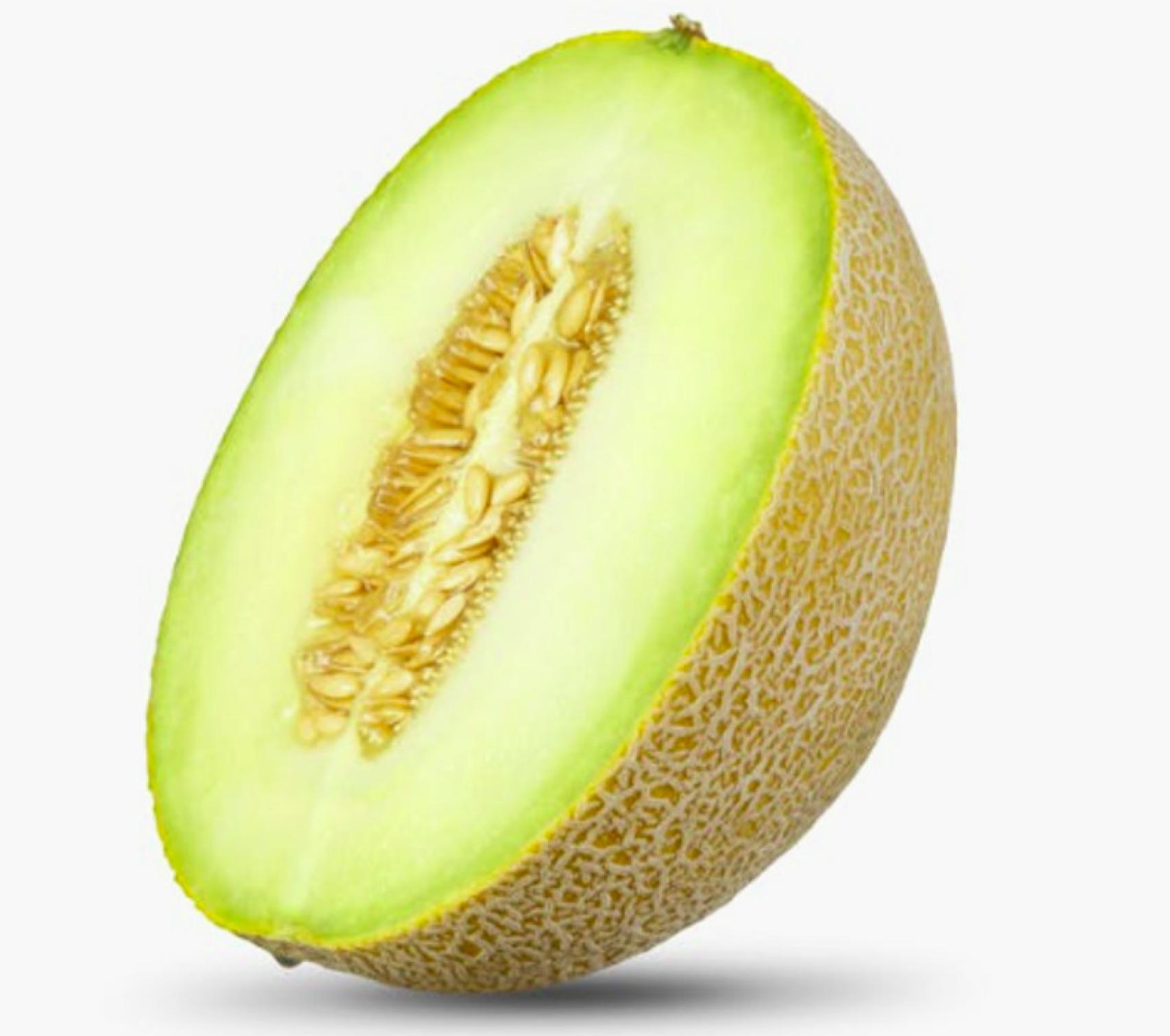 Melón Galia