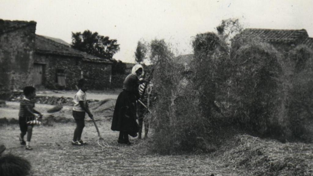 Aventando el grano en la trilla de antaño
