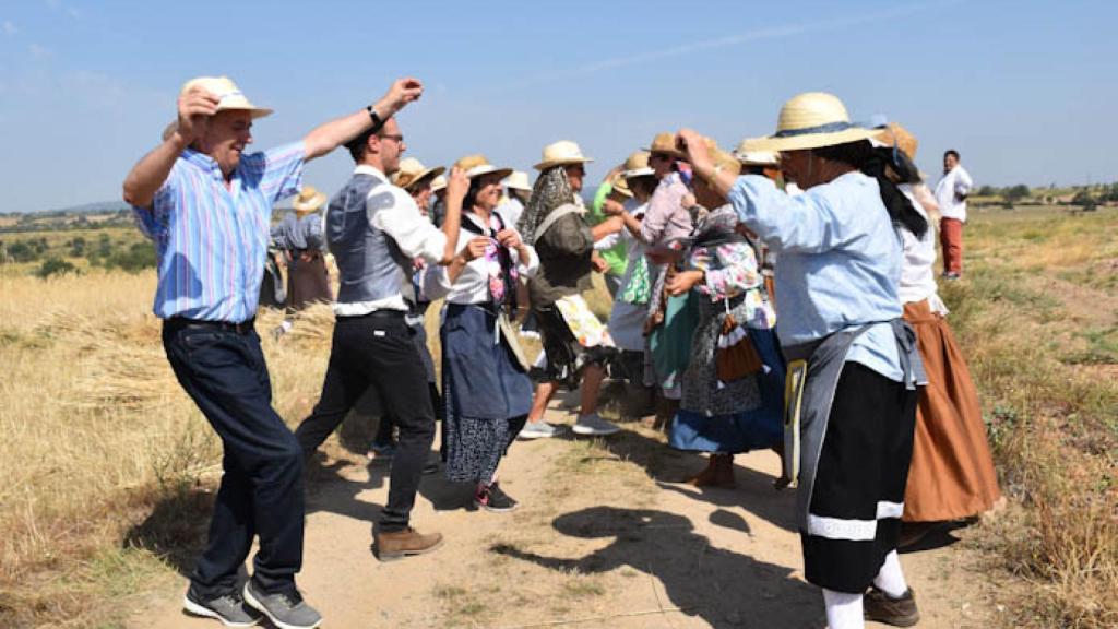 Bailes de siega