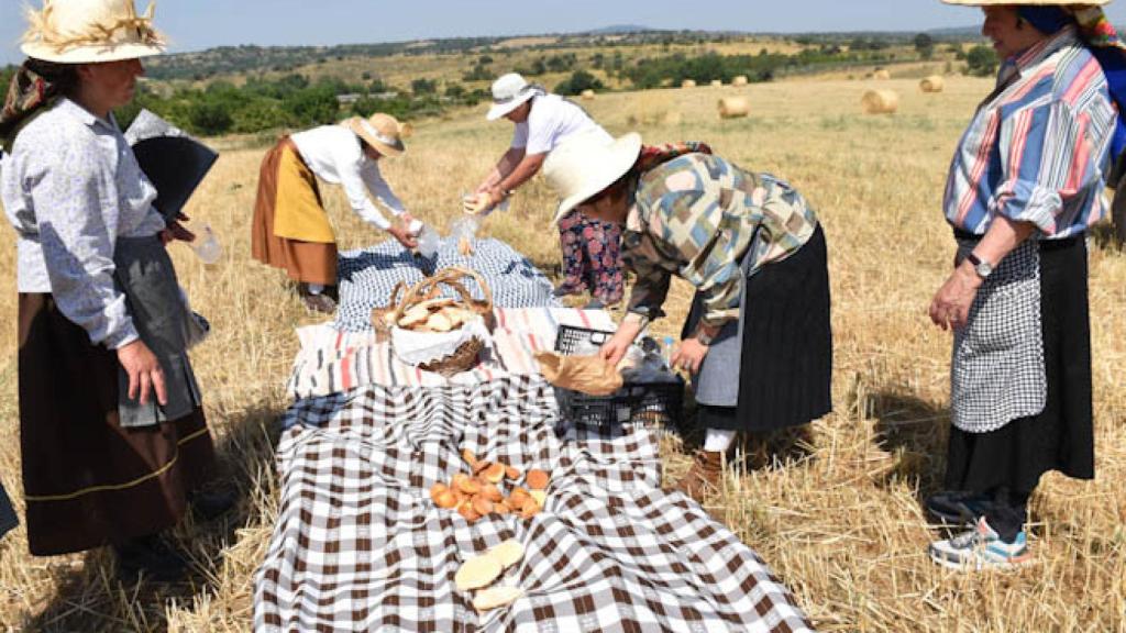 La hora de la comida en el suelo
