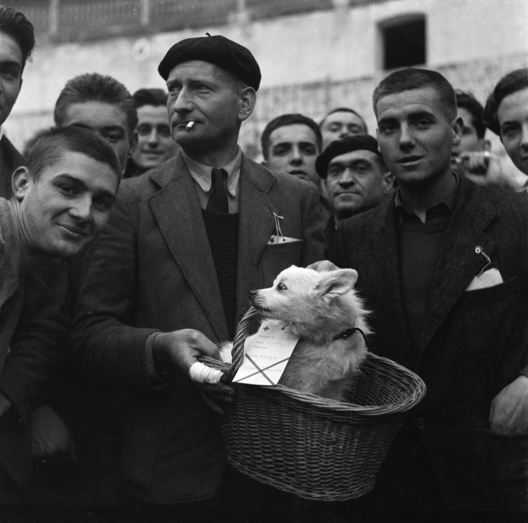Plaza de toros de Málaga, diciembre 1943 / © Jacques Léonard.