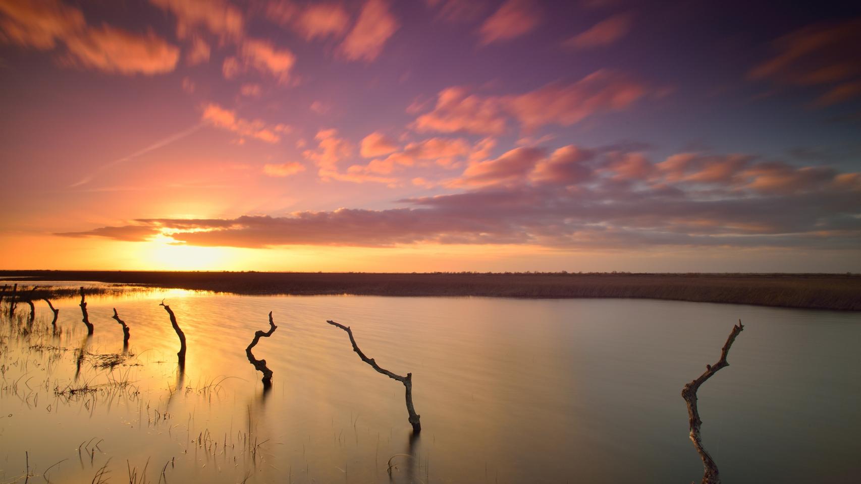 Humedal del Parque Nacional de Doñana (Huelva).