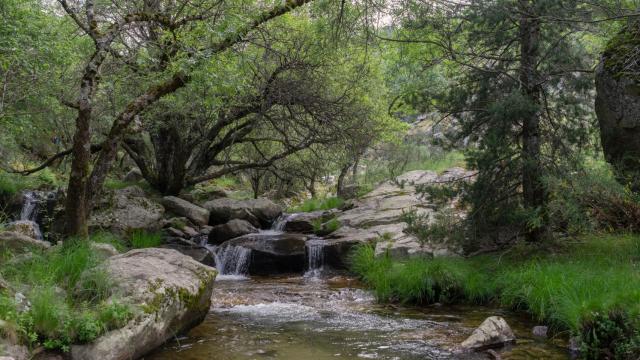 Conoce la mejor ruta de senderismo de Madrid según Chat GPT