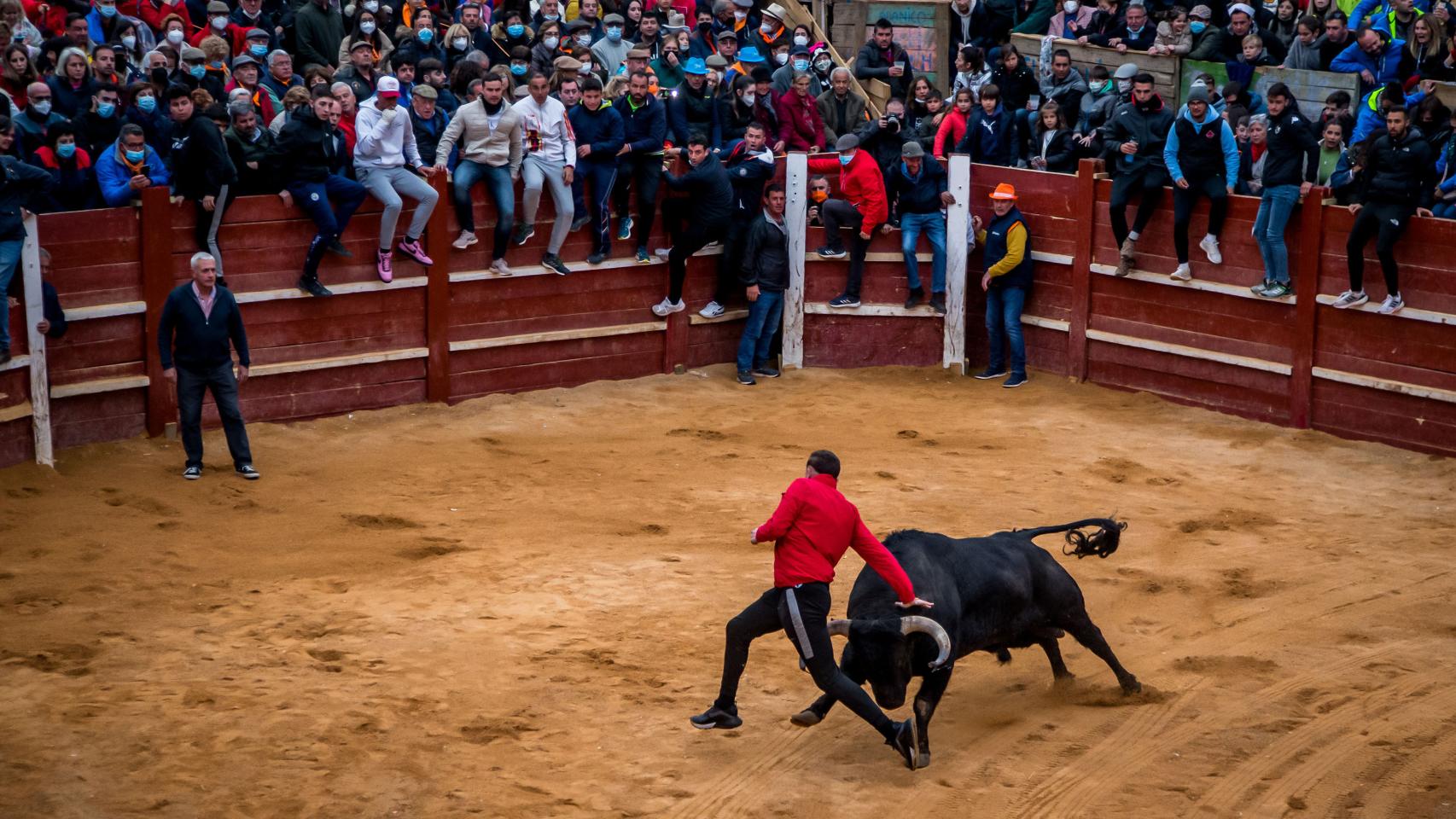 El cortador Ismael Viana en una cogida anterior en una capea en la localidad salmantina de Ciudad Rodrigo.