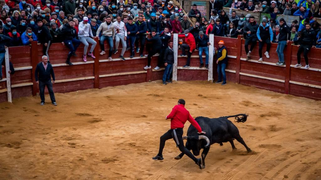 El cortador Ismael Viana en una cogida anterior en una capea en la localidad salmantina de Ciudad Rodrigo.