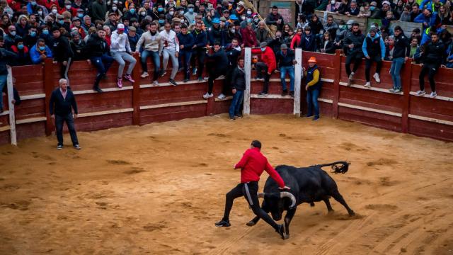 El cortador Ismael Viana en una cogida anterior en una capea en la localidad salmantina de Ciudad Rodrigo.