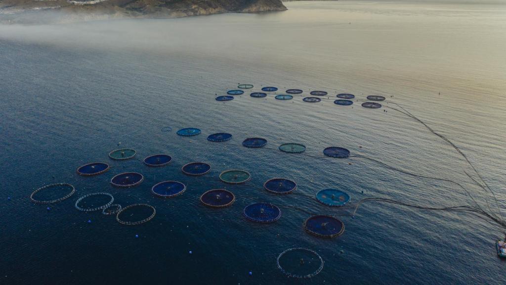 Estructura de acuicultura.