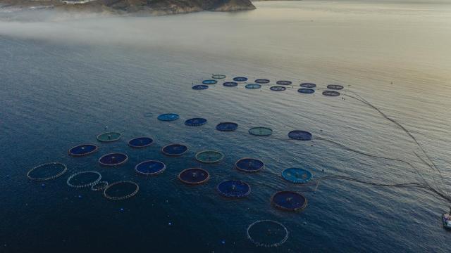 Estructura de acuicultura.