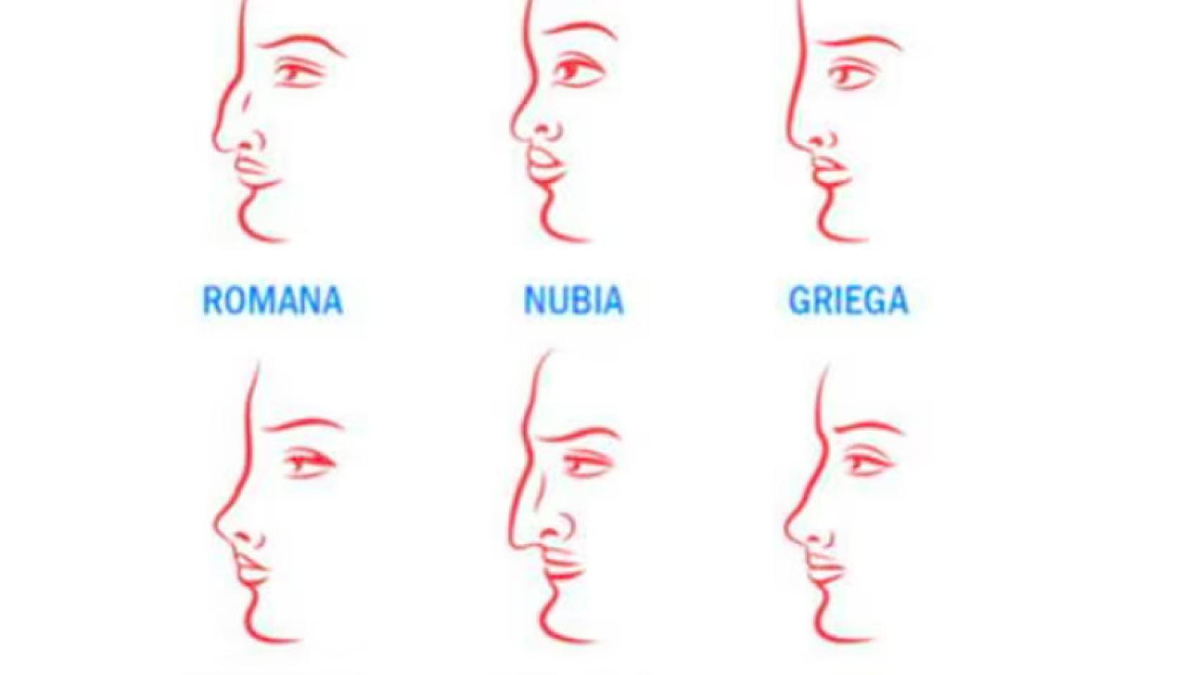 ¿Qué tipo de nariz tienes?