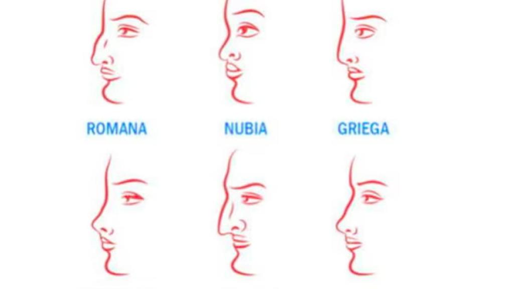 ¿Qué tipo de nariz tienes?