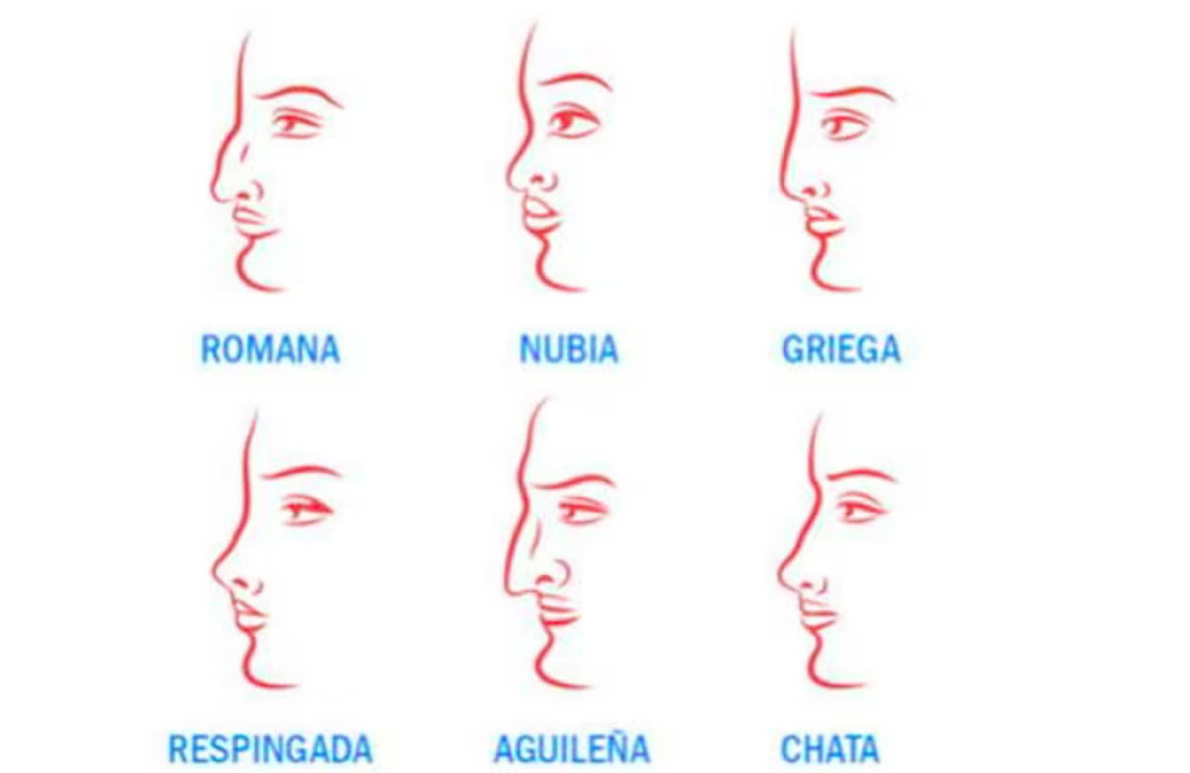 ¿Qué tipo de nariz tienes?