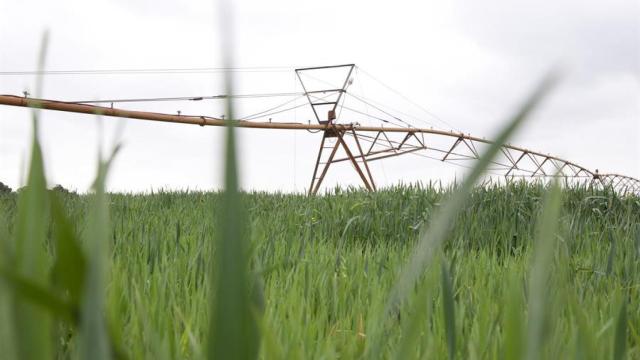 La diputada de Ciclo Hídrico, Ana Serna.
