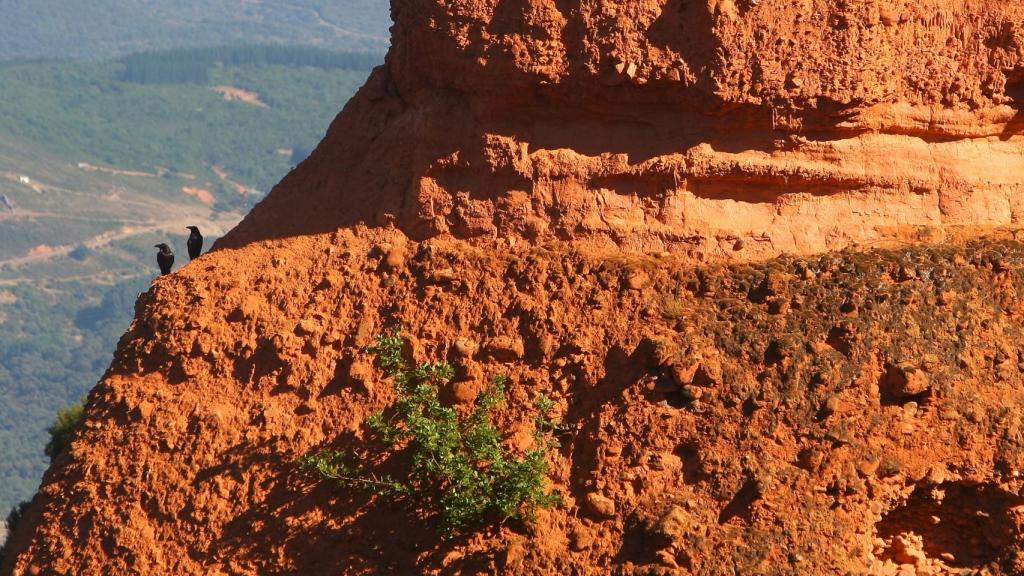 Unas aves se posan en Las Médulas, León