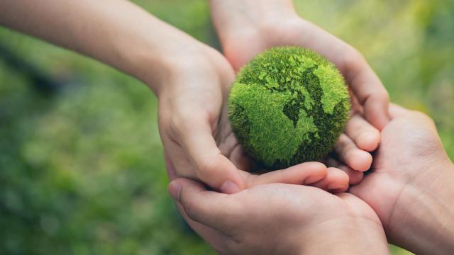 Future Genius: potenciando la tecnología y la sostenibilidad entre los jóvenes talentos