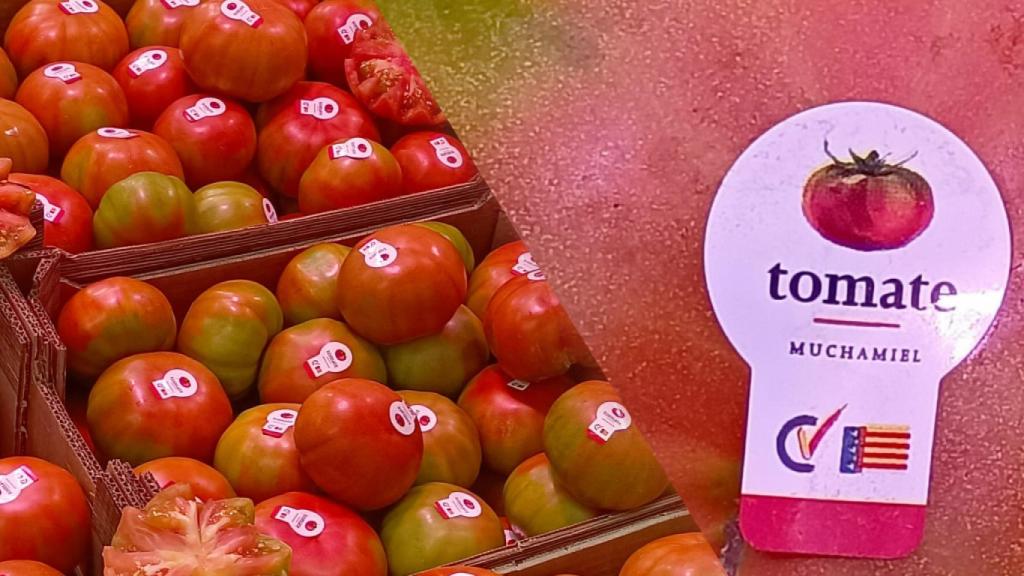Expositor de tomates de Muchamiel y su marca protegida.