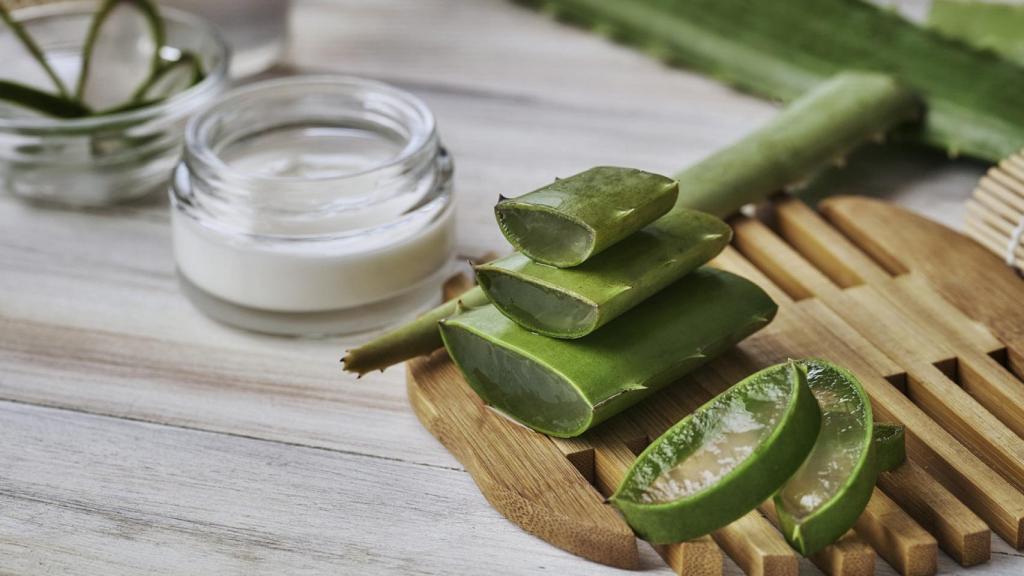 Refresca tu piel después de tomar el sol con estas cremas hidratantes con aloe vera