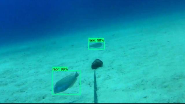 Un proyecto basado en algoritmos de IA en Baleares.