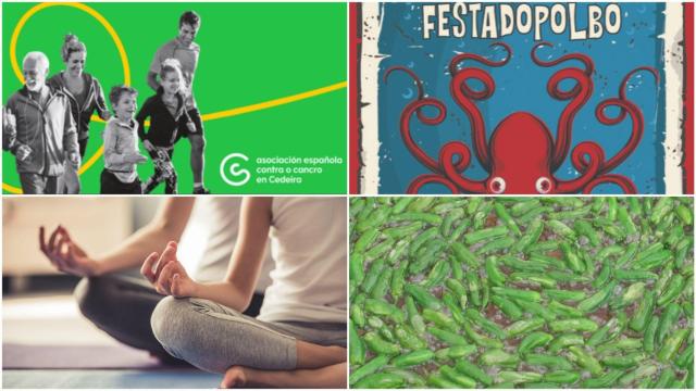 Cinco planes para este fin de semana en Ferrolterra