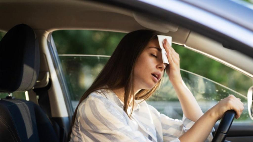 Truco viral para enfriar el coche.