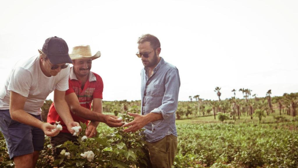 Cultivo de algodón ecológico en Brasil.