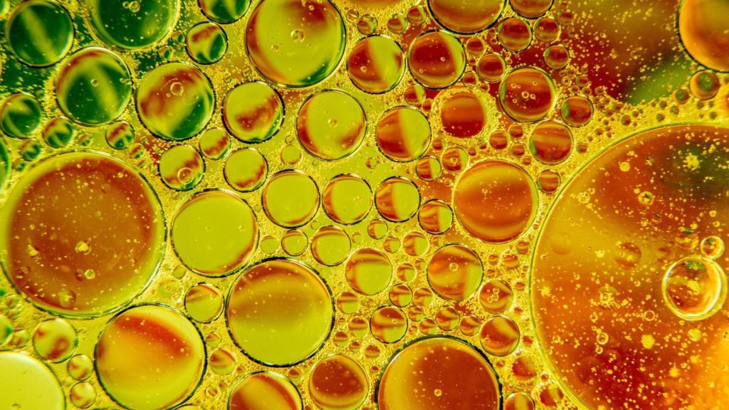 Los aceites vegetales son fuente de tocoferol.