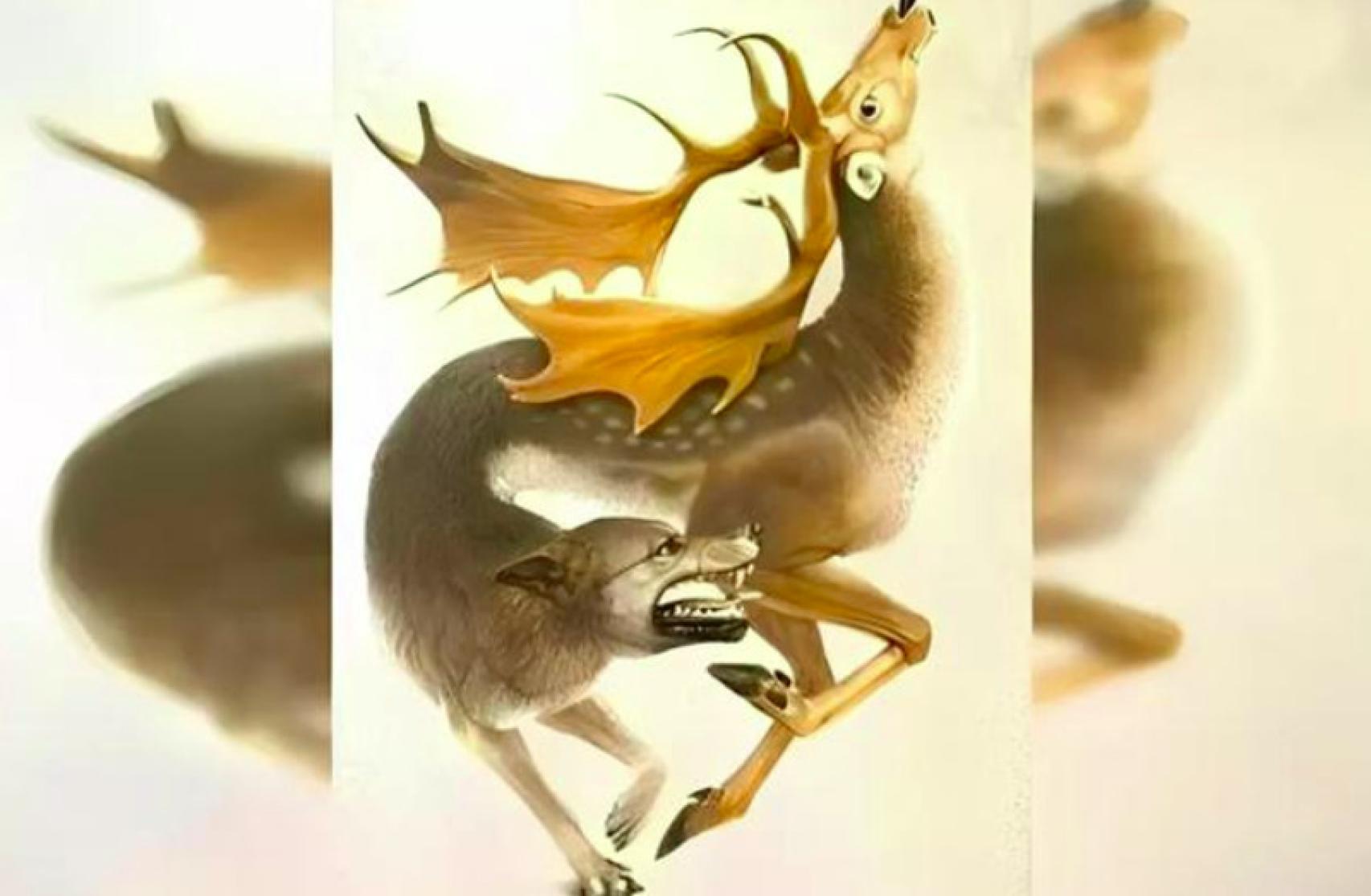 ¿Qué animal has visto primero?