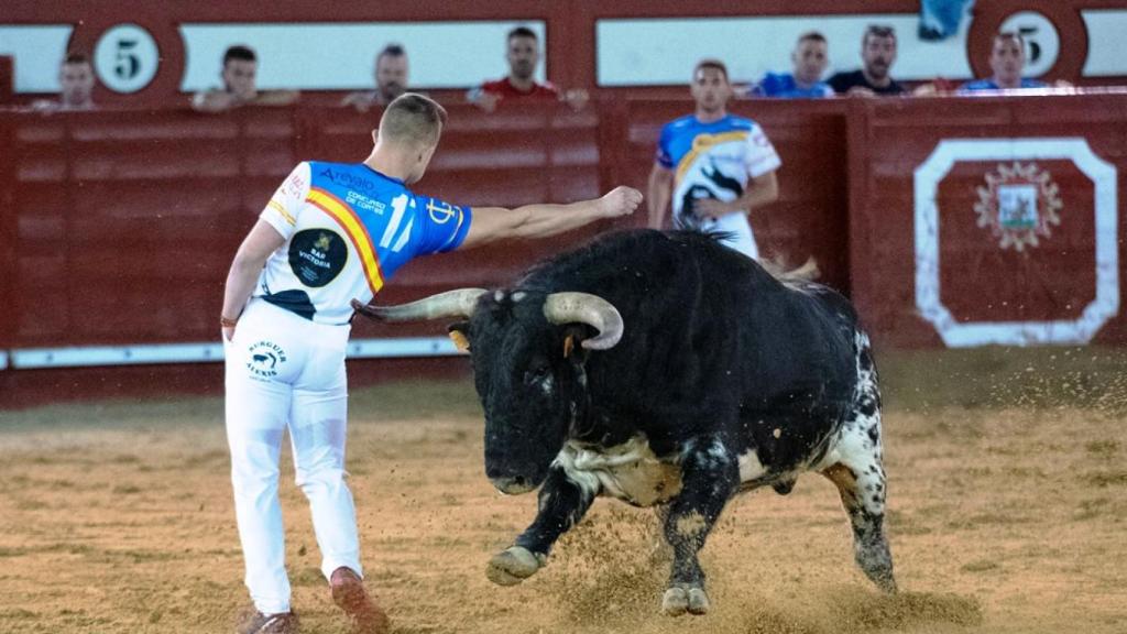 Imágenes del Concurso Nacional de Arévalo