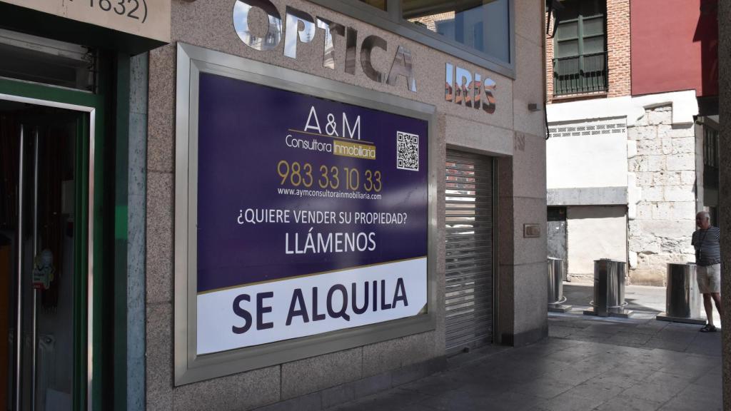 Óptica Iris