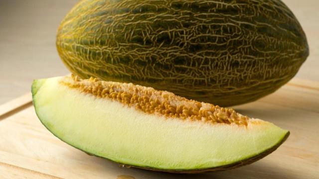 melon