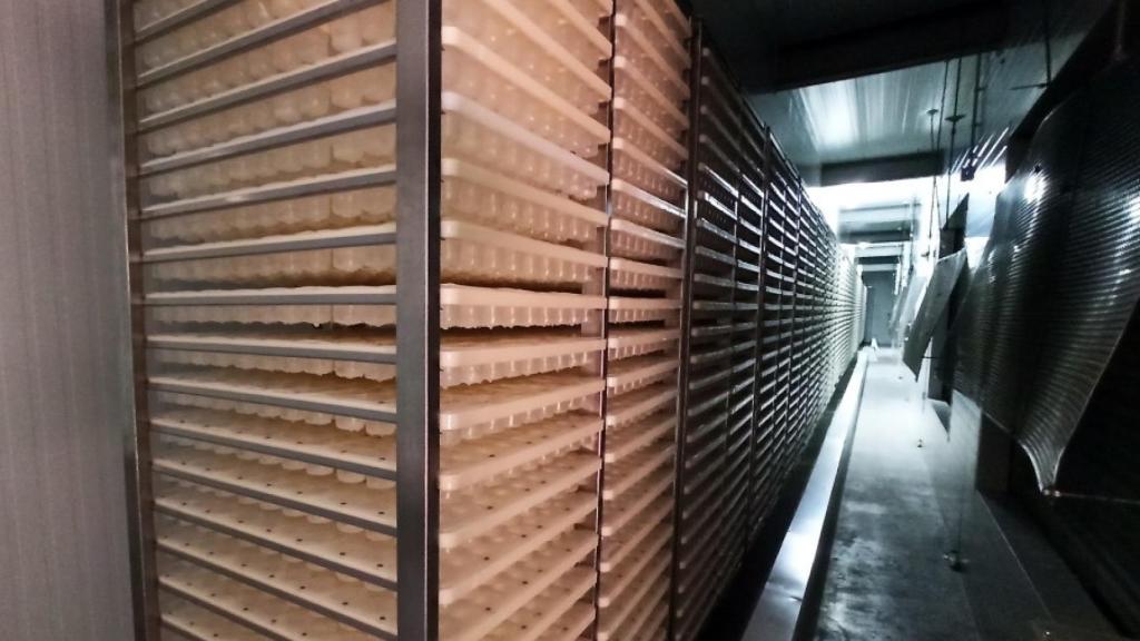 Las bandejas, con capacidad para hacer 2.000 cubitos cada una, en el túnel de congelación.