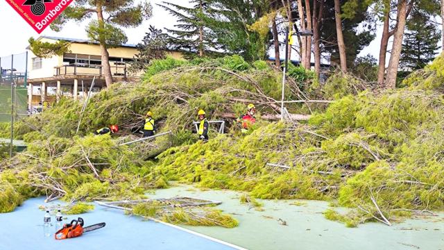 El equipo de bomberos durante el trabajo este martes en Villena.