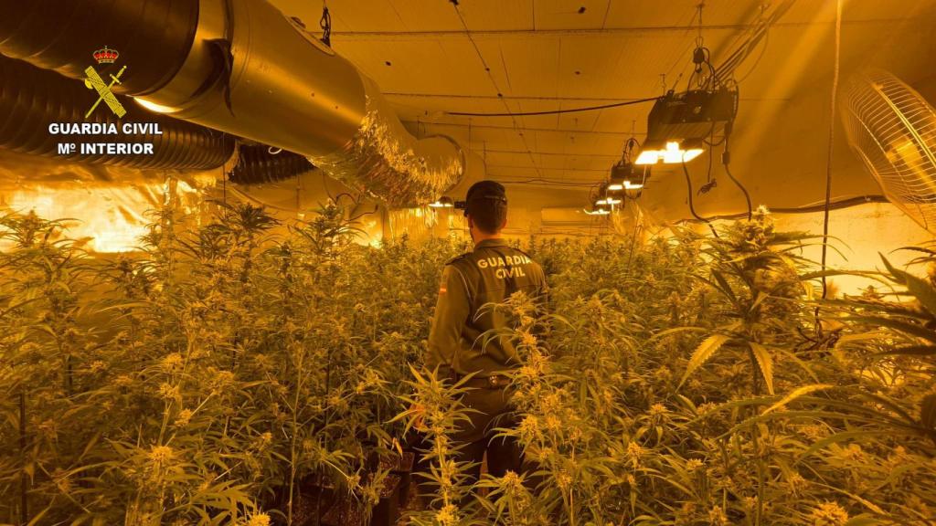 Imagen de la plantación desmantelada por la Guardia Civil