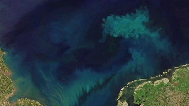 Imagen tomada por el U.S. Geological Survey y datos MODIS de LANCE/EOSDIS Rapid Response.