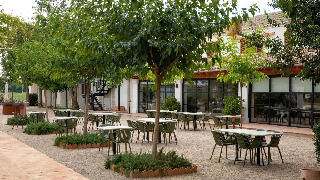 Varios naranjos amargos adornan los jardines de Laberinto del Rey