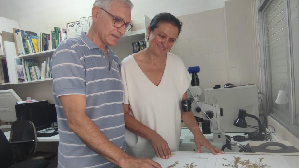 Los profesores Manuel B. Crespo y María Ángeles Alonso, del Grupo de Investigación de Botánica y Conservación Vegetal.