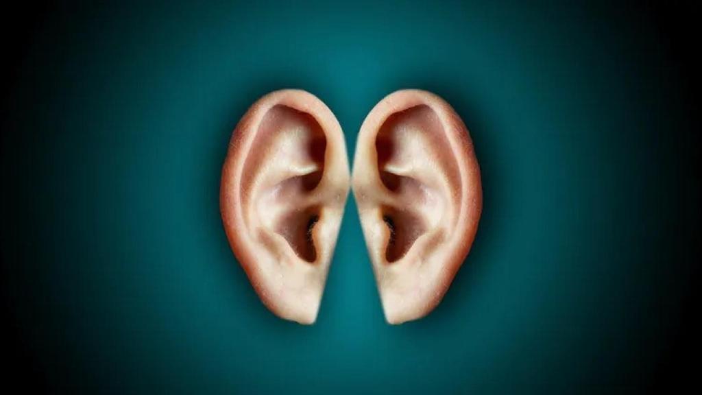 El silencio es algo que también se puede escuchar, según un estudio de la Universidad Johns Hopkins.