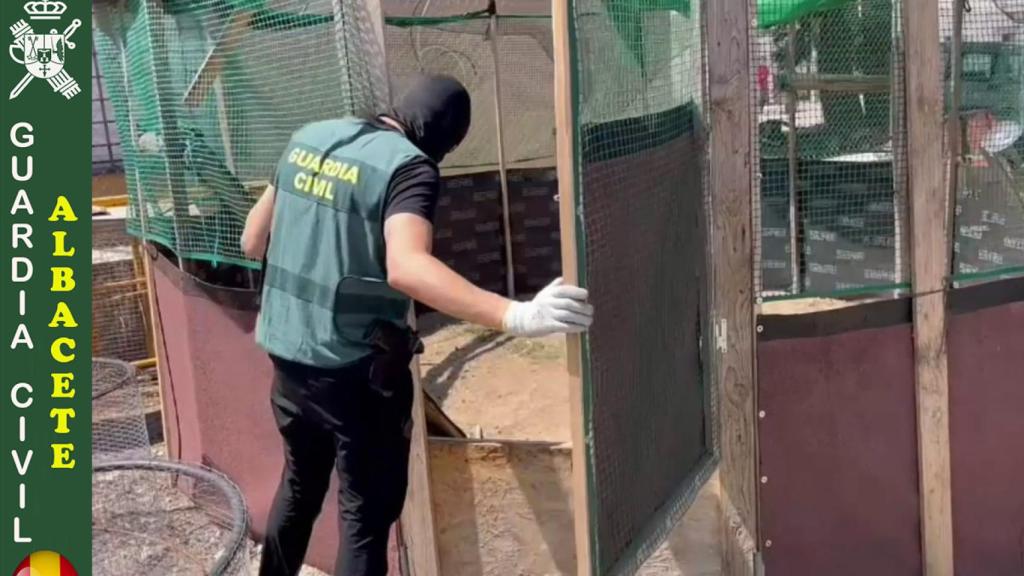 Foto: Guardia Civil