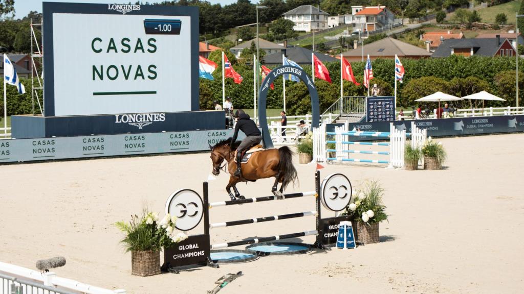 Un caballo salta en la pista principal