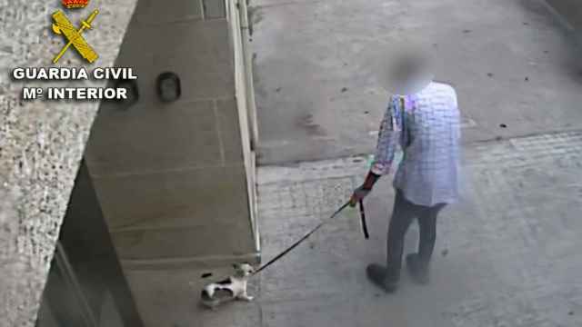 Maltrato animal en Baiona.