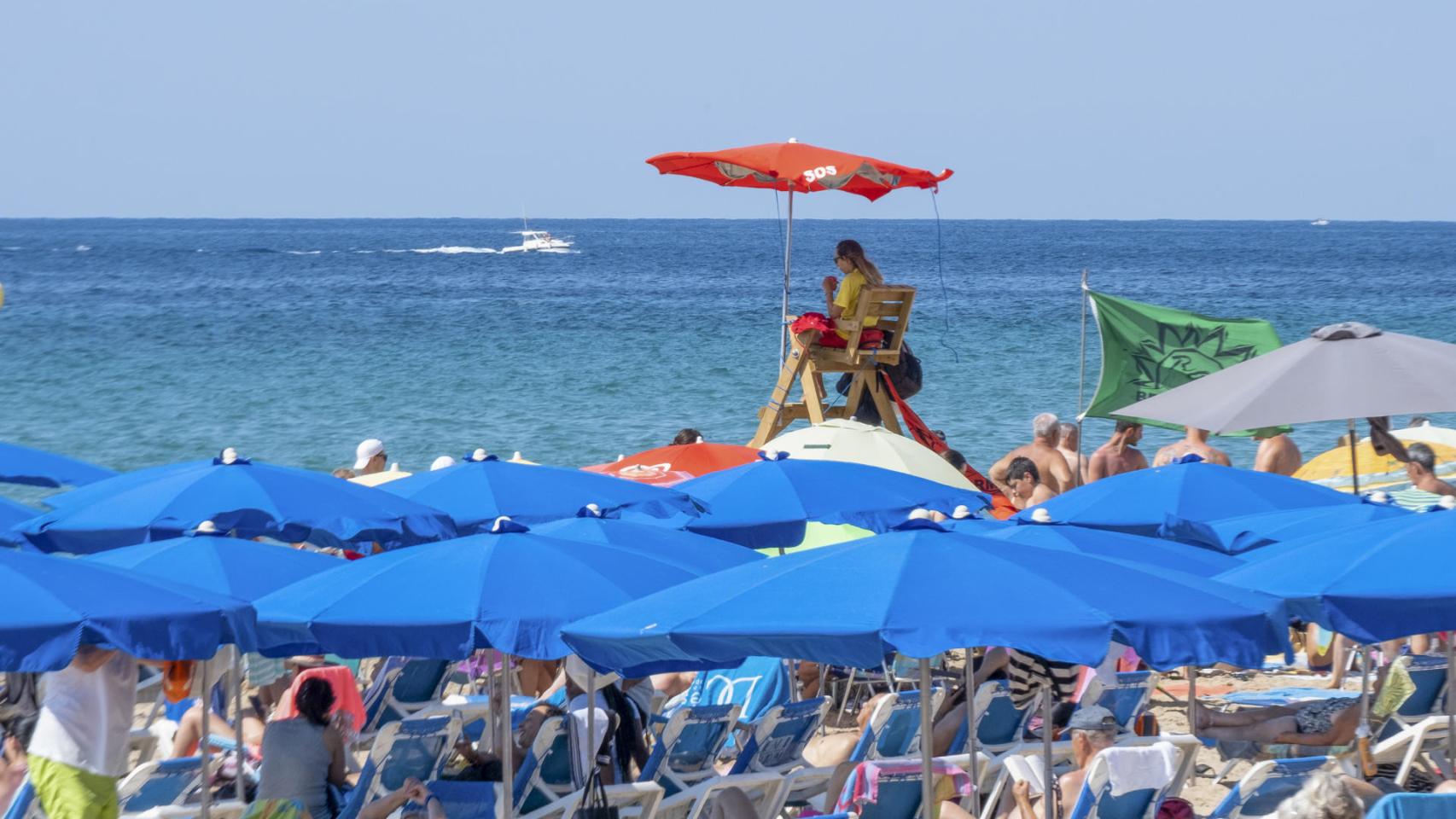 Estado que presentaba una de las playas de Benidorm a principios del mes de julio.