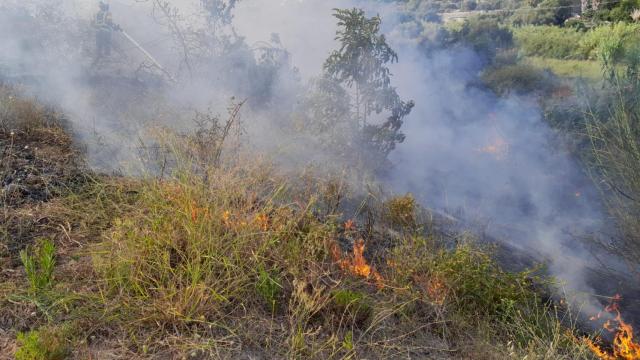 Incendios forestales en Estepona.