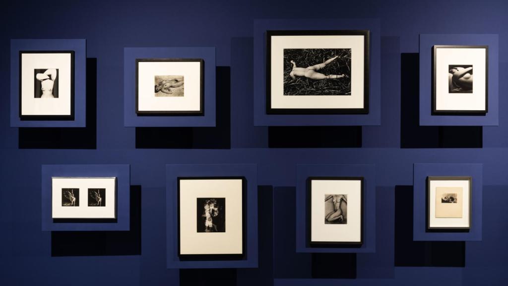 Vista de la exposición con fotografías de Bill Brandt, Edward Weston o  Daido Moriyama. Foto: María Laura Benavente/ Colección COFF Ordóñez Falcón de Fotografía - TEA Tenerife