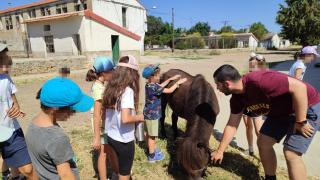 El grito de auxilio de la granja escuela de Villalba de los Alcores: cinco macroparques renovables amenazan su supervivencia